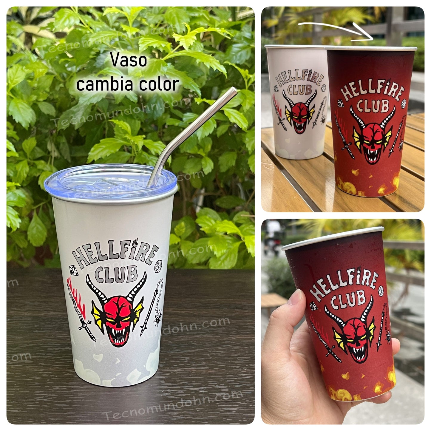 Vaso Cambia Color Hellfire Club | Stranger Things