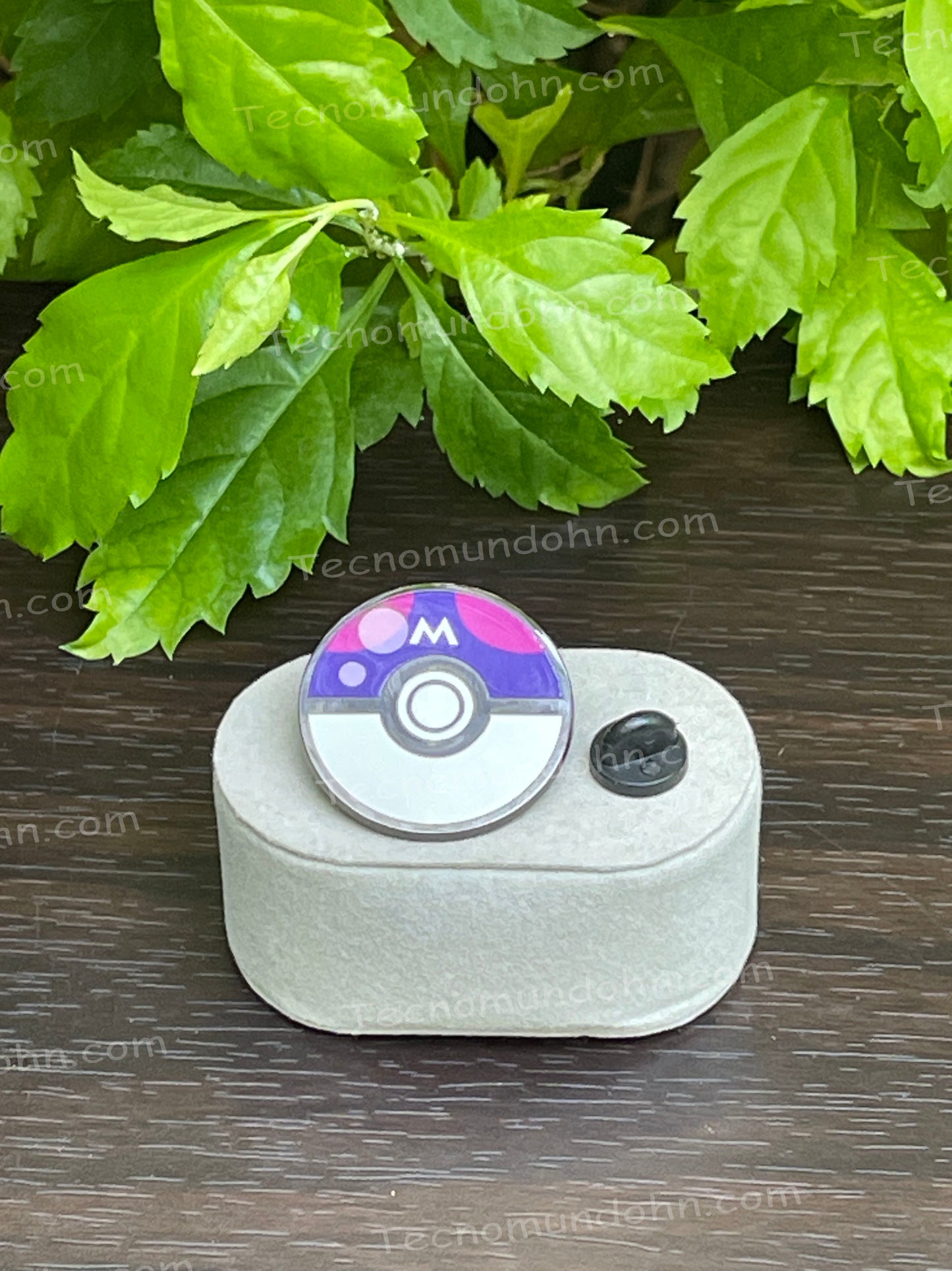 Broche Master Ball | Pokémon