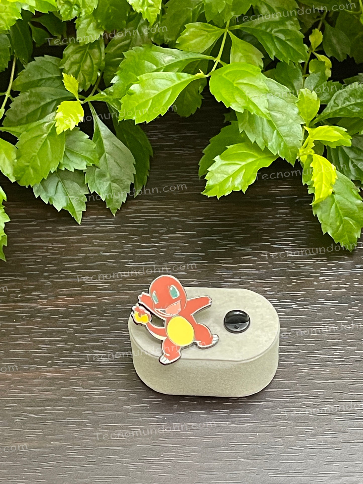 Pin De Charmander De Pokémon (9)