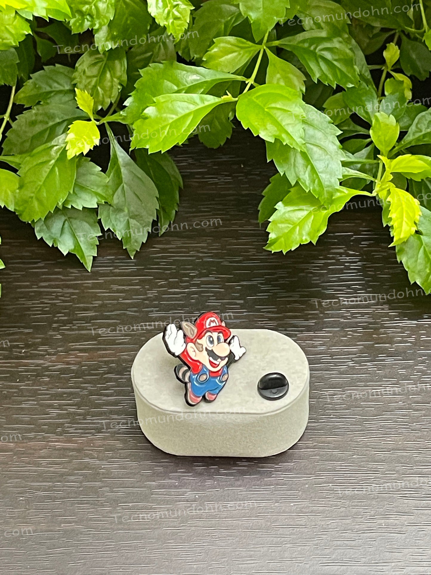 Pin De Mario Volando De Super Mario (5)