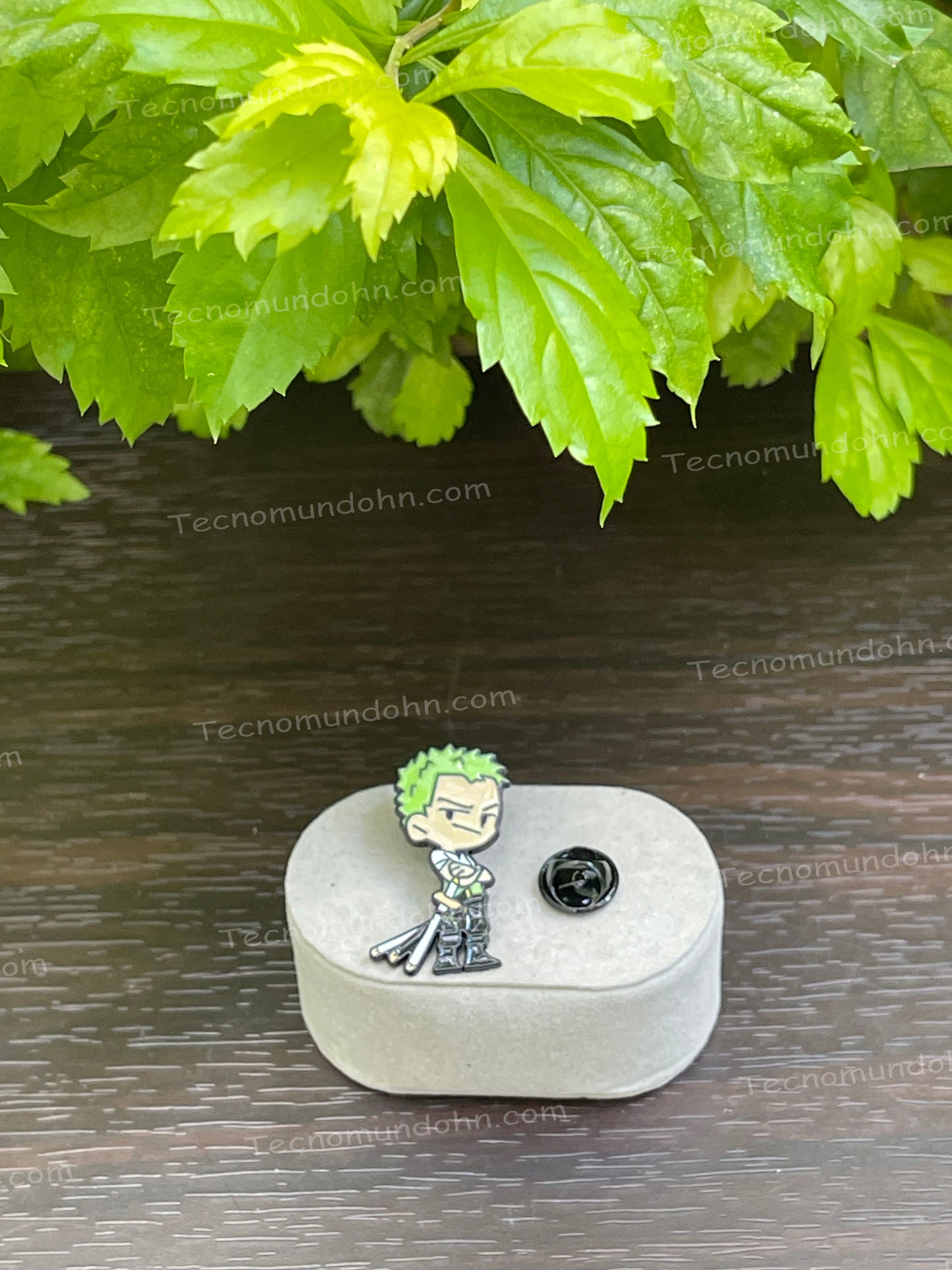 Pin Zoro (2) | One Piece
