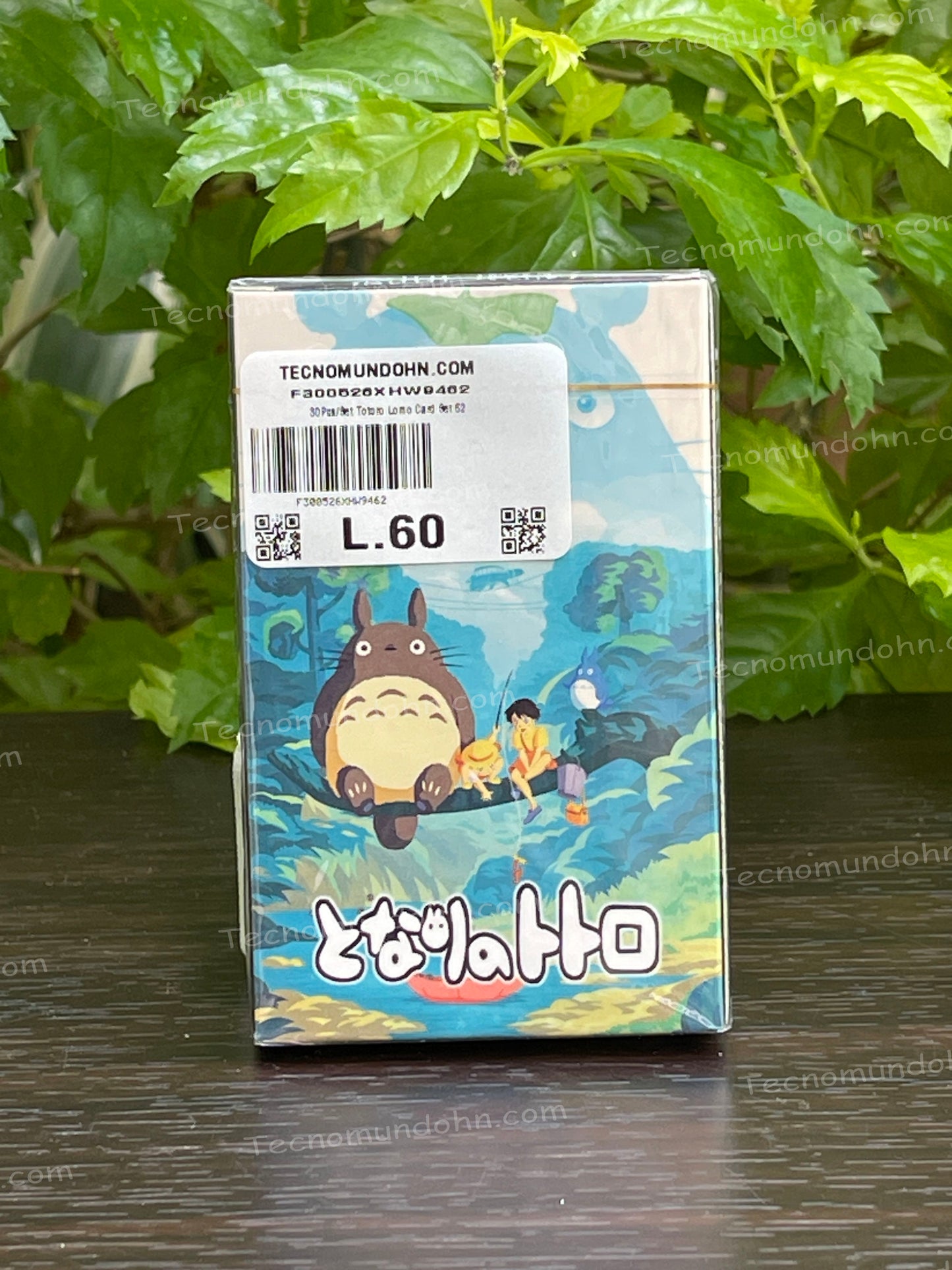 Tarjetas Coleccionables Mi Vecino Totoro | Studio Ghibli 01