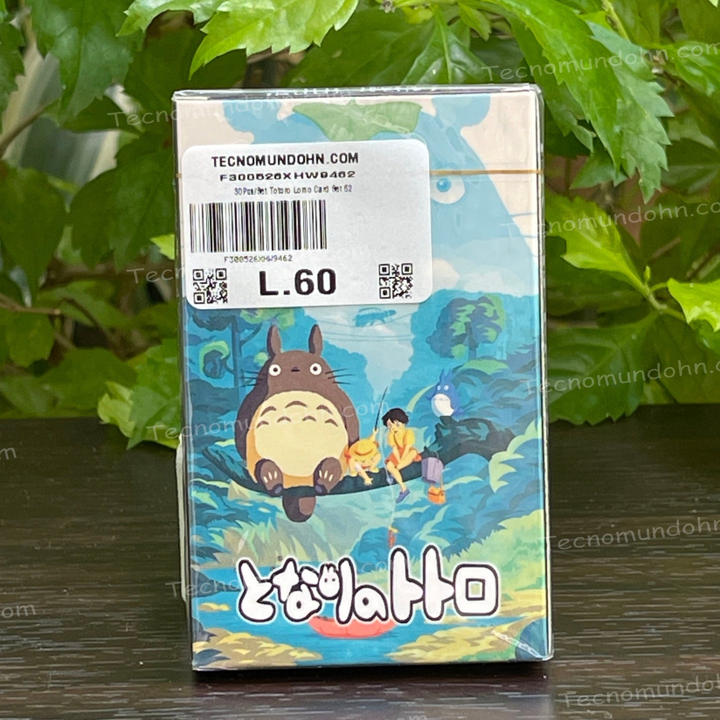 Tarjetas Coleccionables Mi Vecino Totoro | Studio Ghibli 01