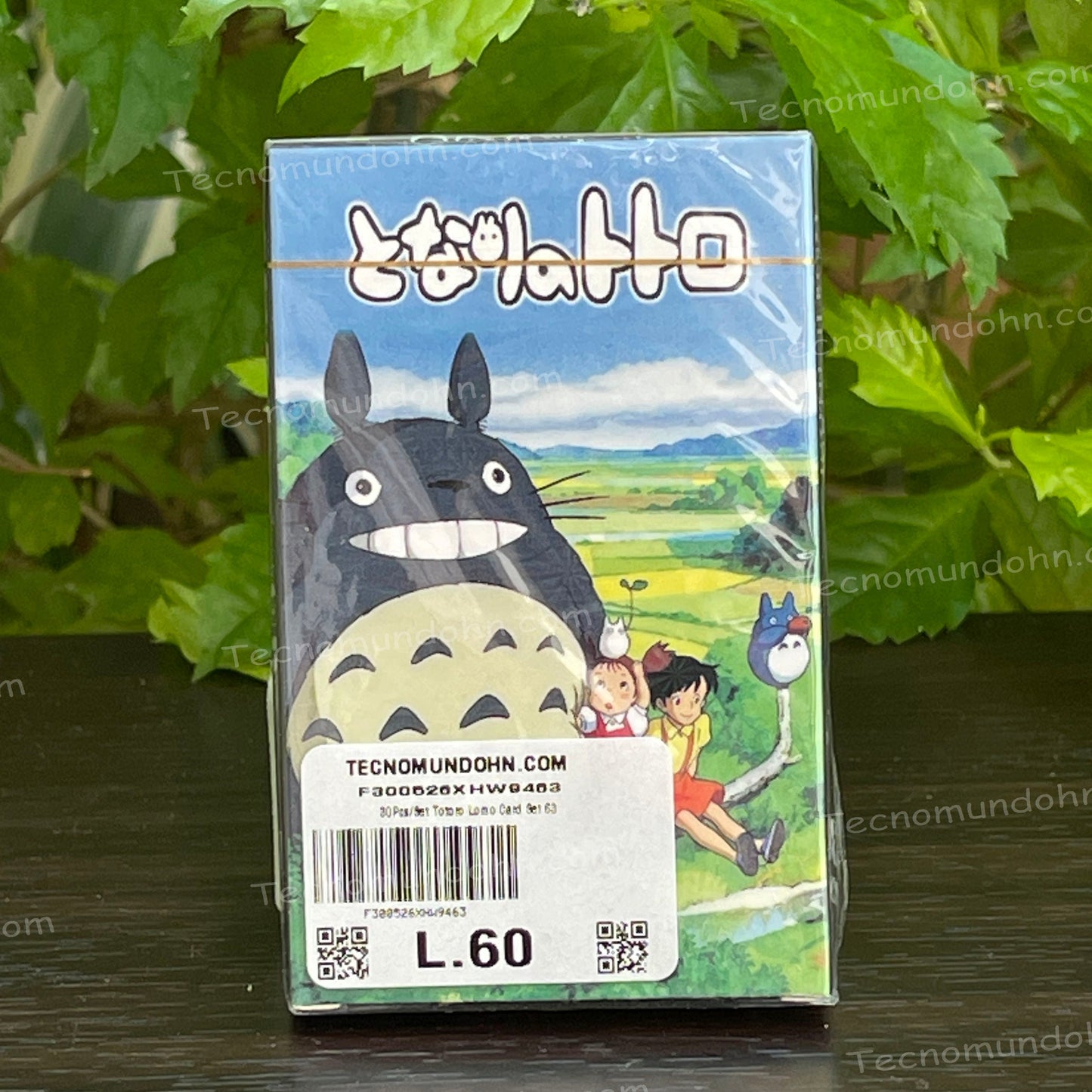 Tarjetas Coleccionables Mi Vecino Totoro | Studio Ghibli 02