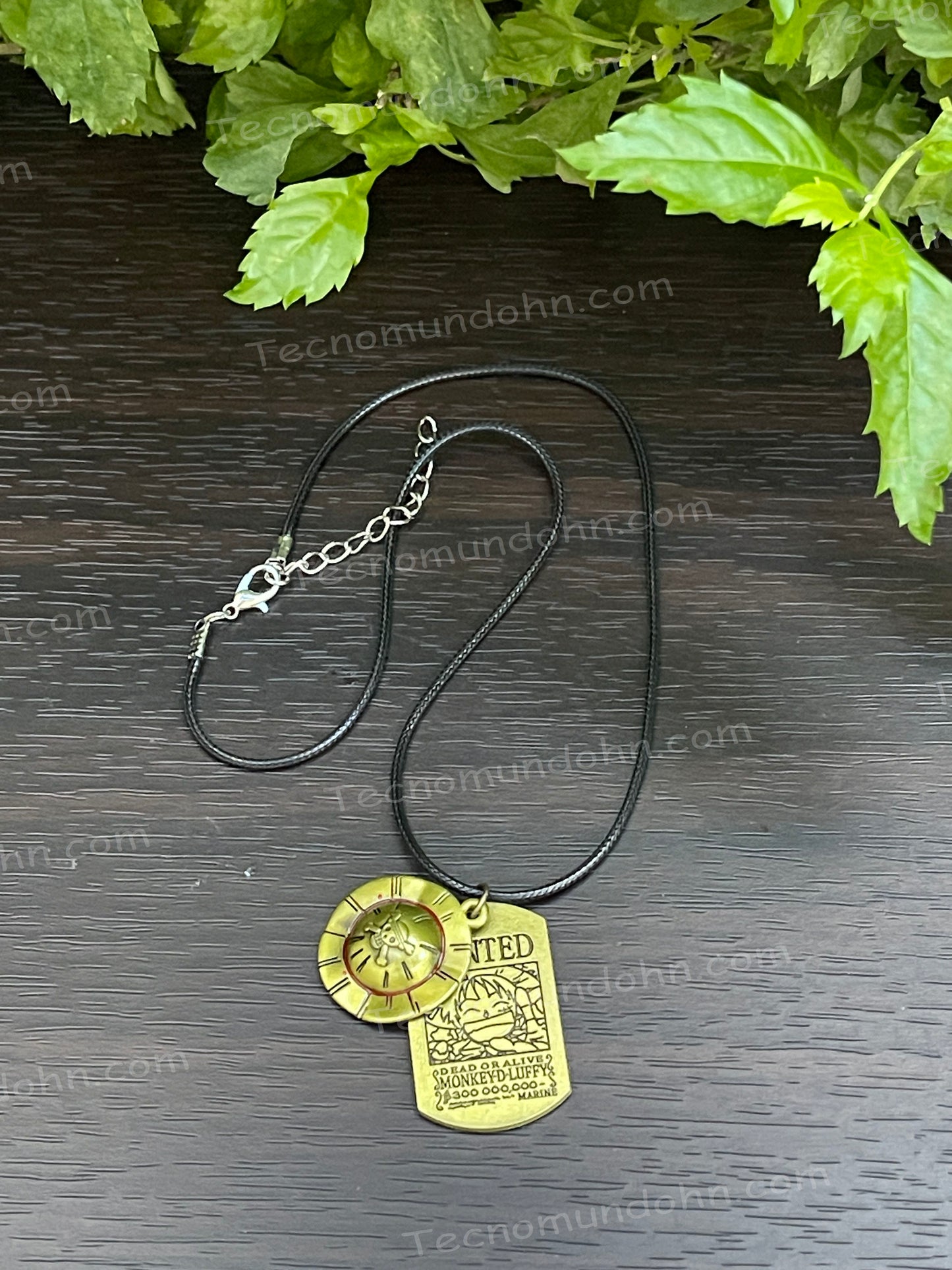 Collar Calavera + Cartel Wanted | One Piece