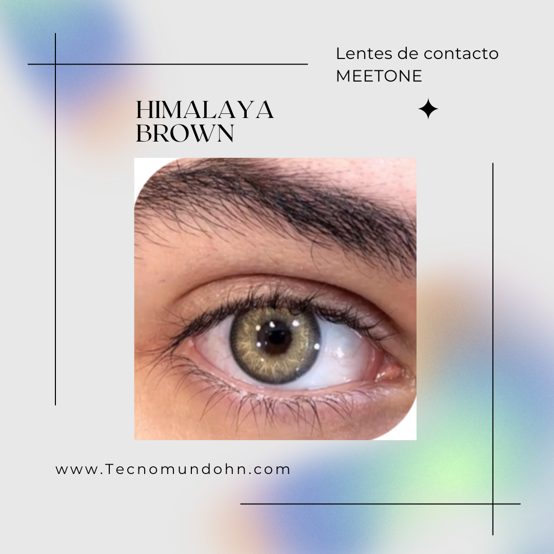 Himalaya Brown