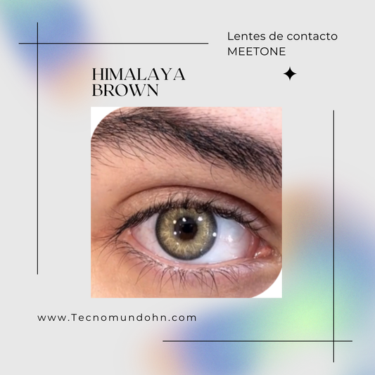 Himalaya Brown