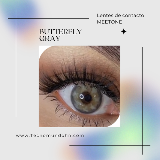 Butterfly Gray