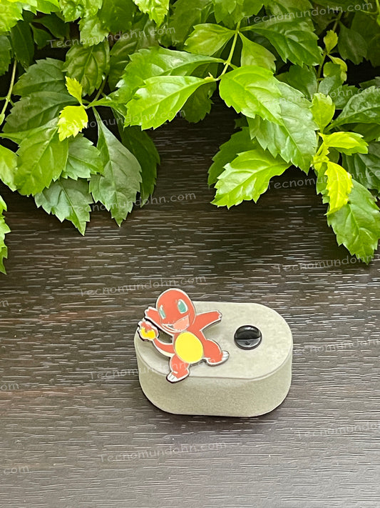 Pin De Charmander De Pokémon (9)