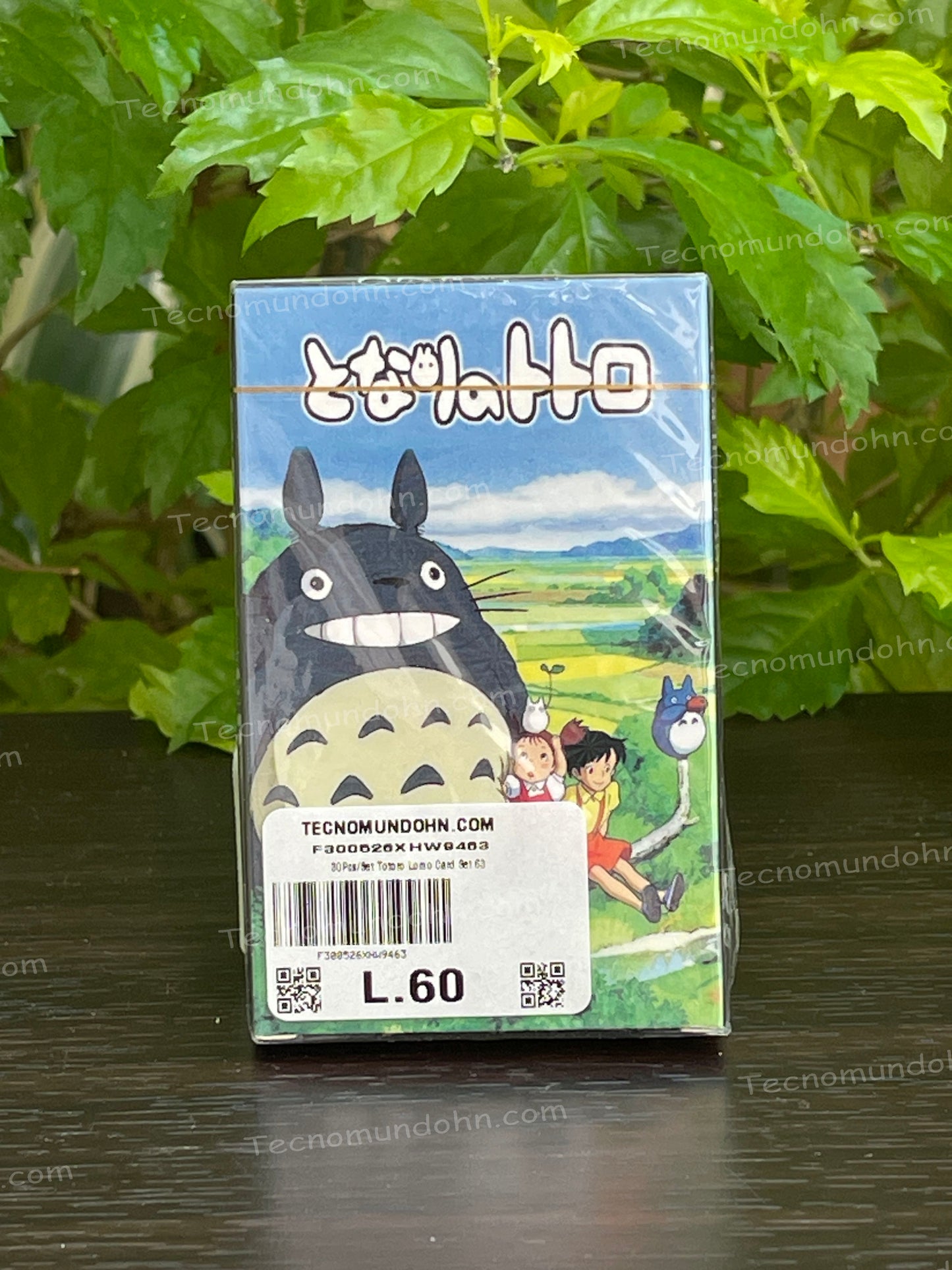Tarjetas Coleccionables Mi Vecino Totoro | Studio Ghibli 02