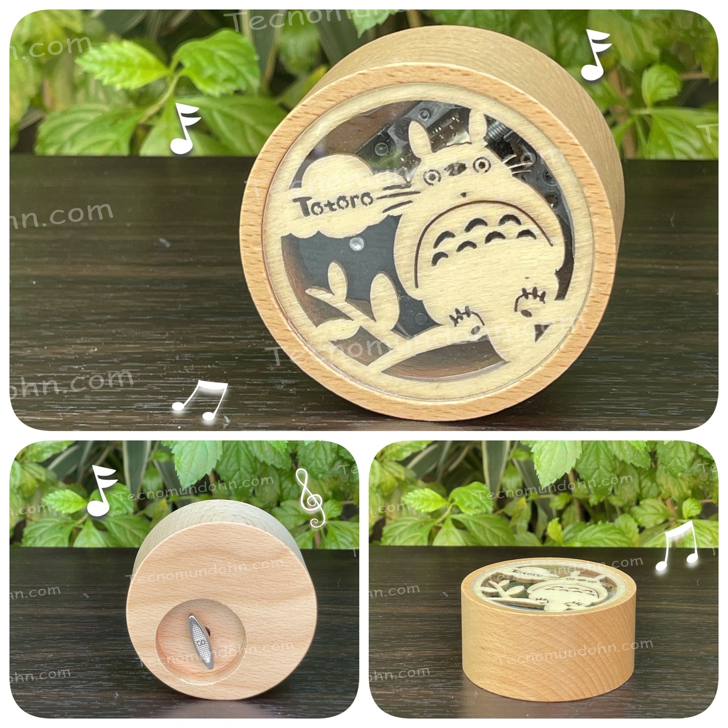 Caja Musical Totoro