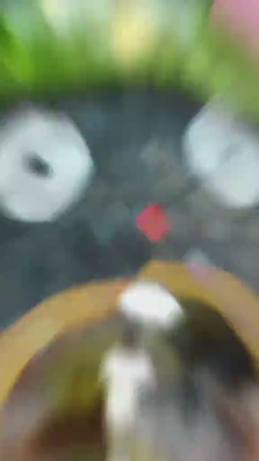 Lámpara Led Totoro A